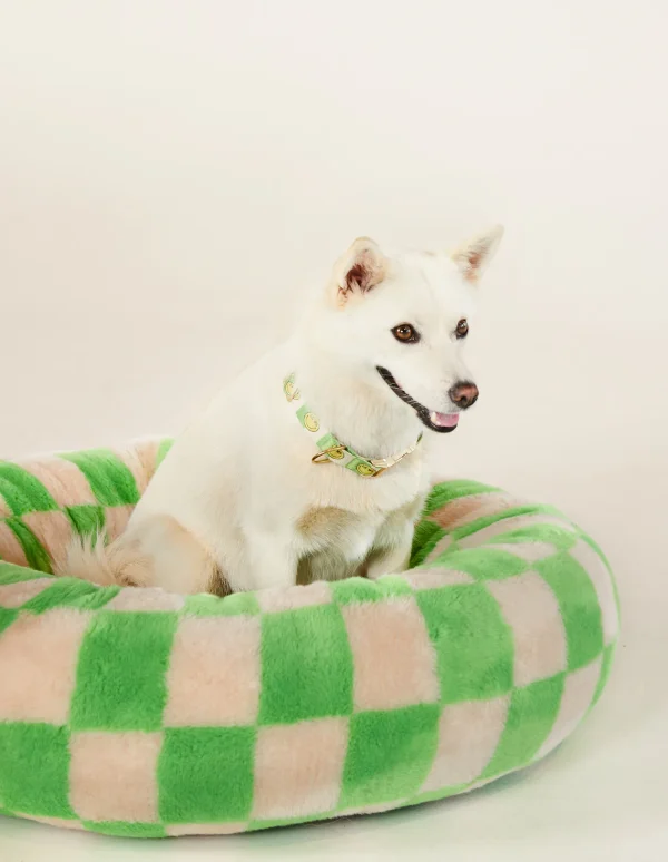 hondenmand groen beige_dogguo